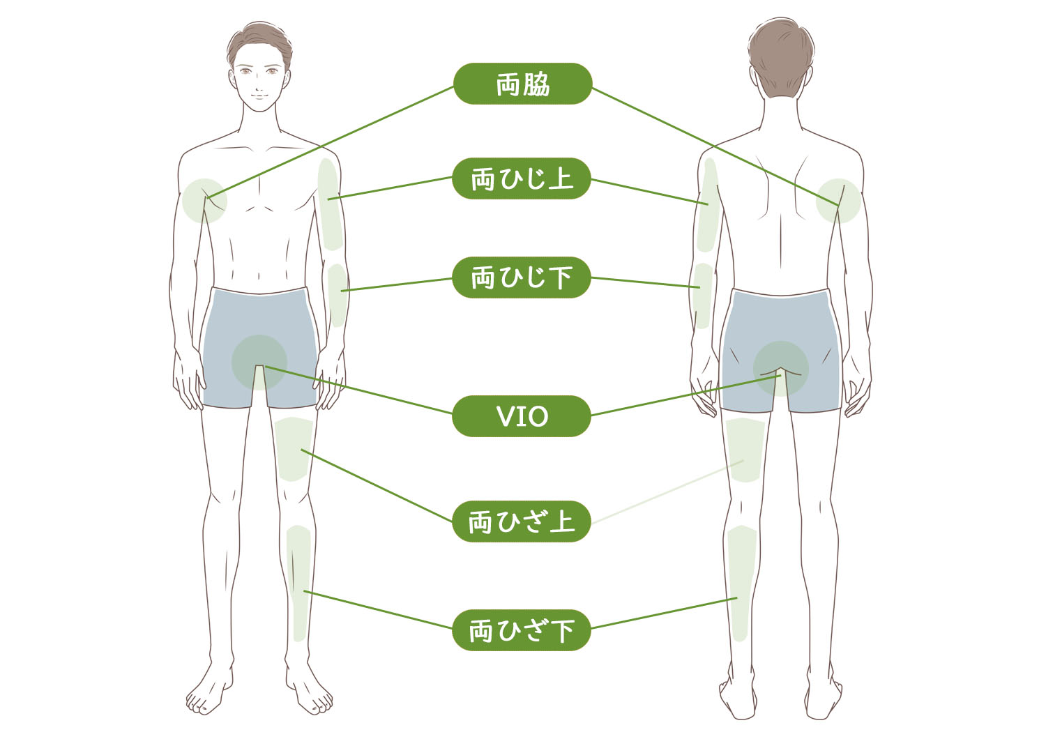 脱毛部位_男性ボディ